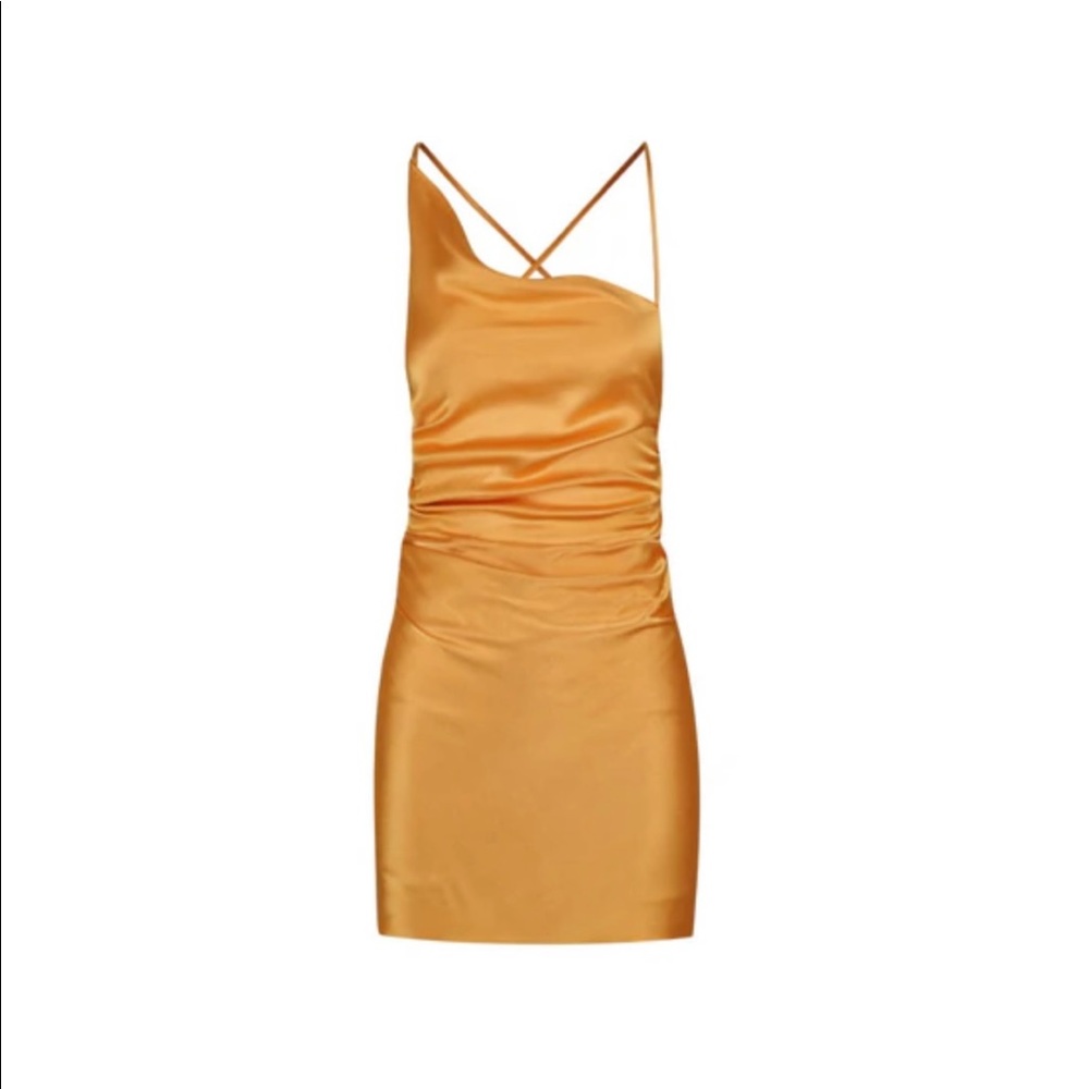 Shona Joy Dress
